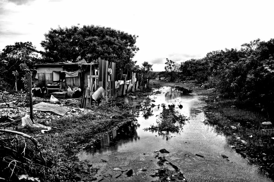 Cabane de tôle et de bois au bord d'un chemin inondé, végétation et détritus, noir et blanc