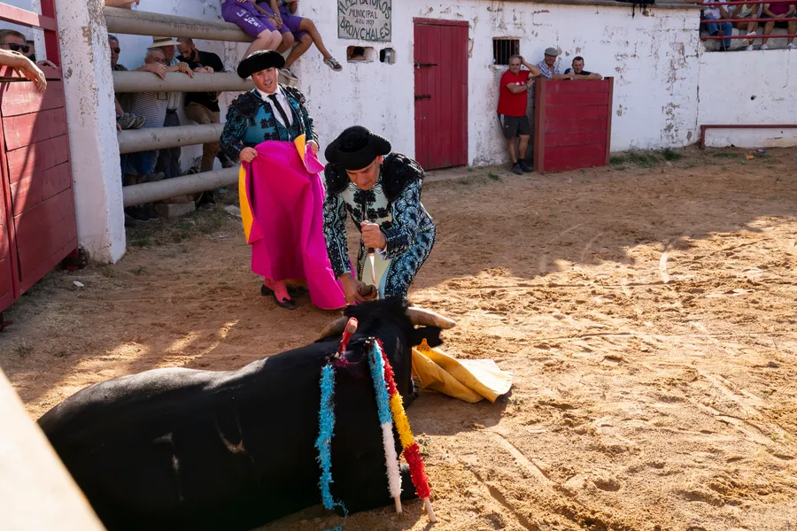 Deux toreros penchés sur un taureau à terre dans une arène, cape rose et banderilles colorées