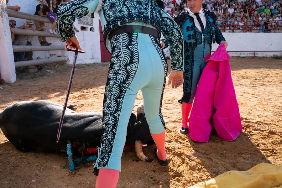 Torero tenant une épée devant un taureau abattu, second homme à la cape rose, cadrage sur les jambes