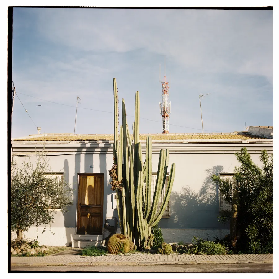 Grands cactus devant une maison blanche à porte en bois, antenne relais à l'arrière-plan