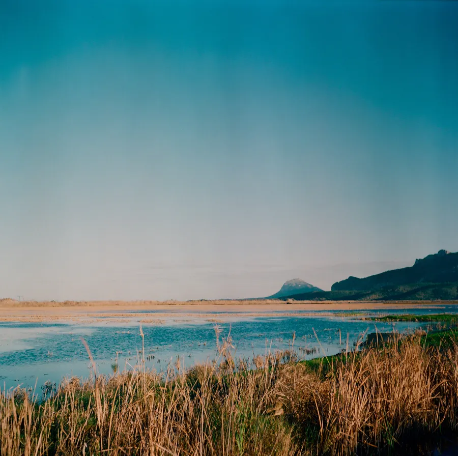 Marais aux roseaux secs devant une étendue d'eau, montagne sombre à l'horizon sous un ciel bleu