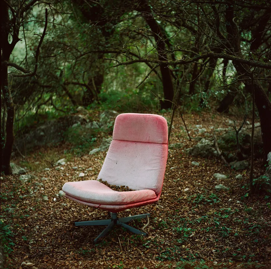 Fauteuil rose usé abandonné dans un sous-bois tapissé de feuilles mortes