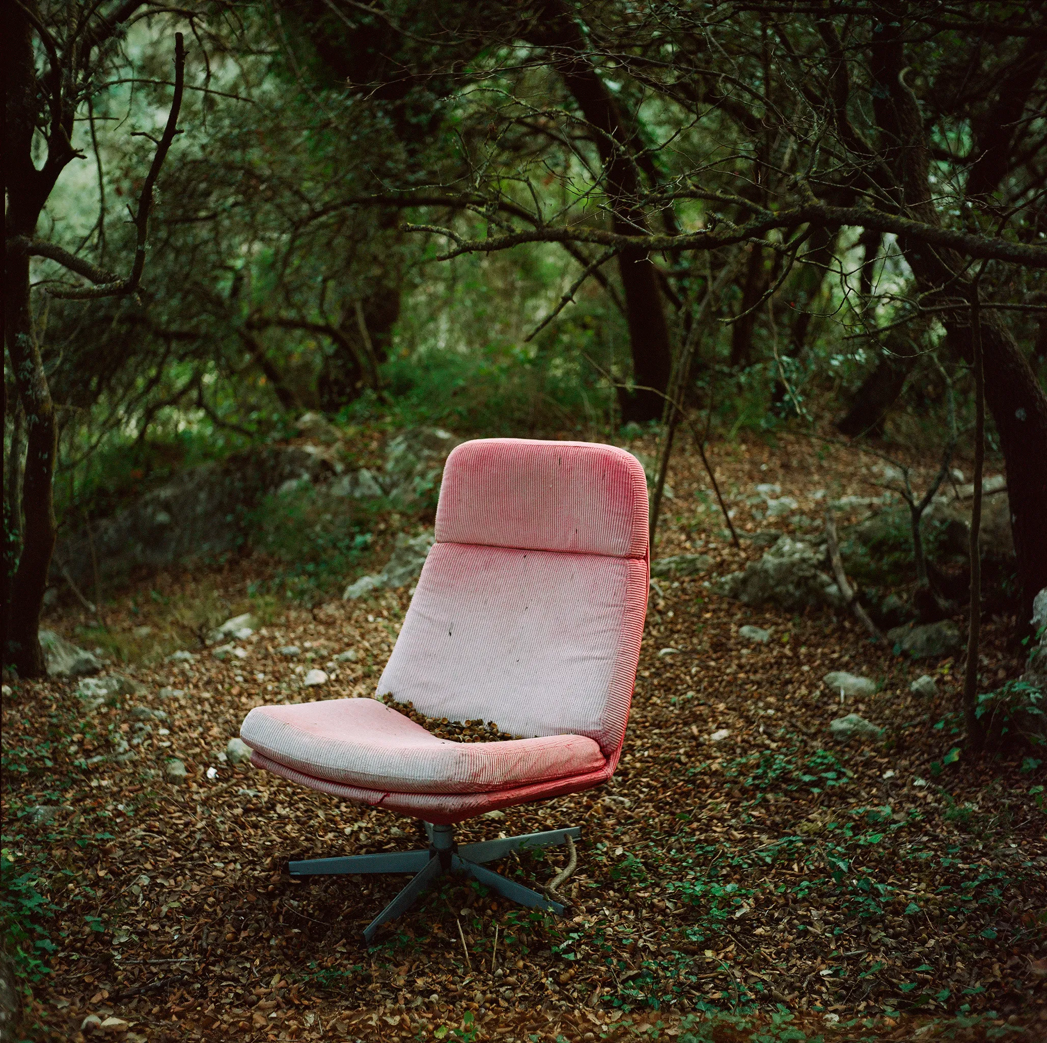 Land Escape