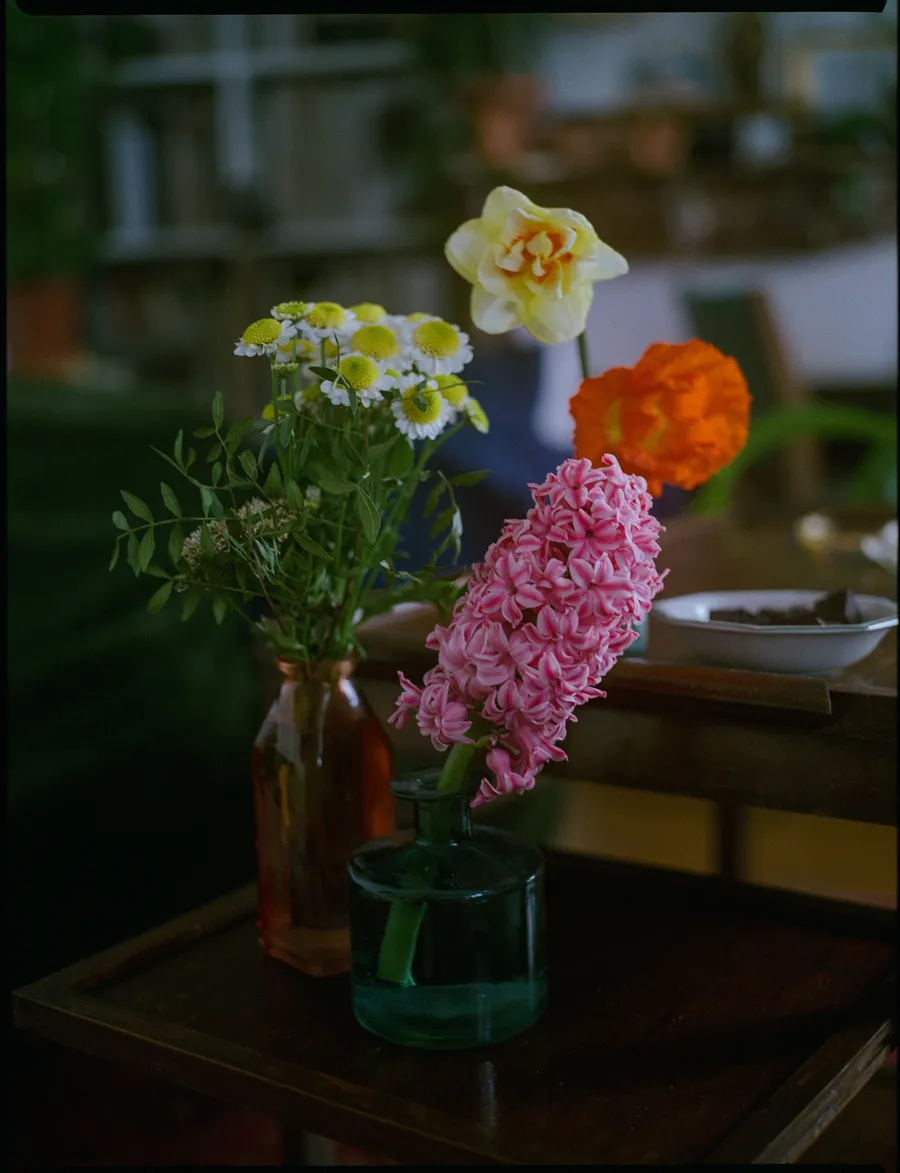 Jacinthe rose et bouquet de marguerites dans des vases posés sur une table en bois, intérieur sombre
