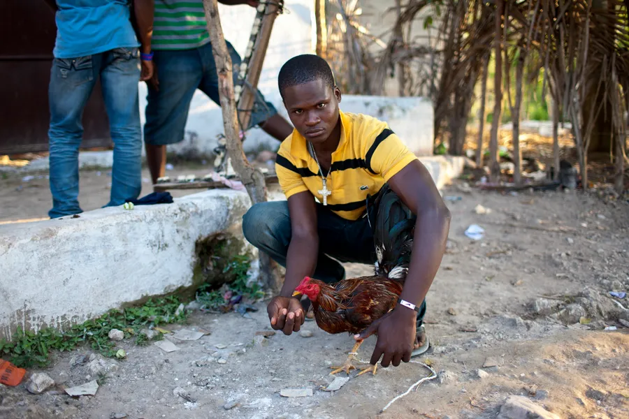 Jeune homme accroupi tenant un coq, regard vers l'objectif, rue de terre en arrière-plan