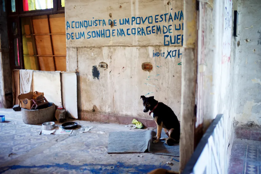 Chien assis dans une pièce délabrée devant un mur couvert d'une inscription bleue