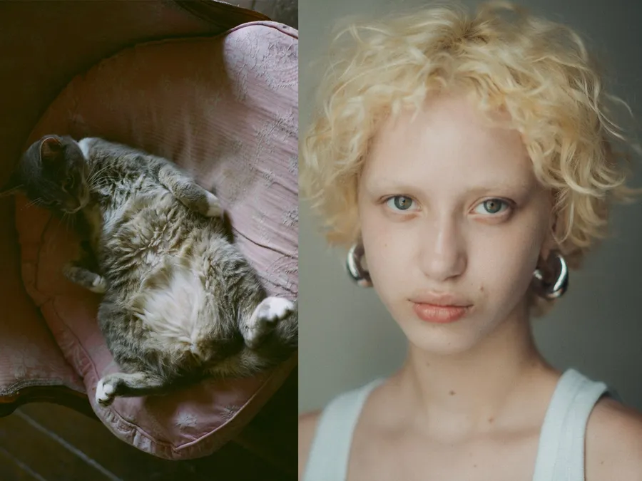 Diptyque : chat tigré endormi sur un coussin rose, et portrait d'une jeune femme blonde bouclée aux créoles