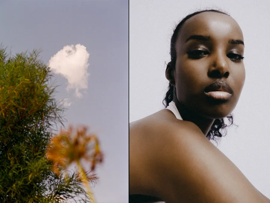 Diptyque : nuage isolé au-dessus d'un feuillage, et femme regardant par-dessus son épaule nue