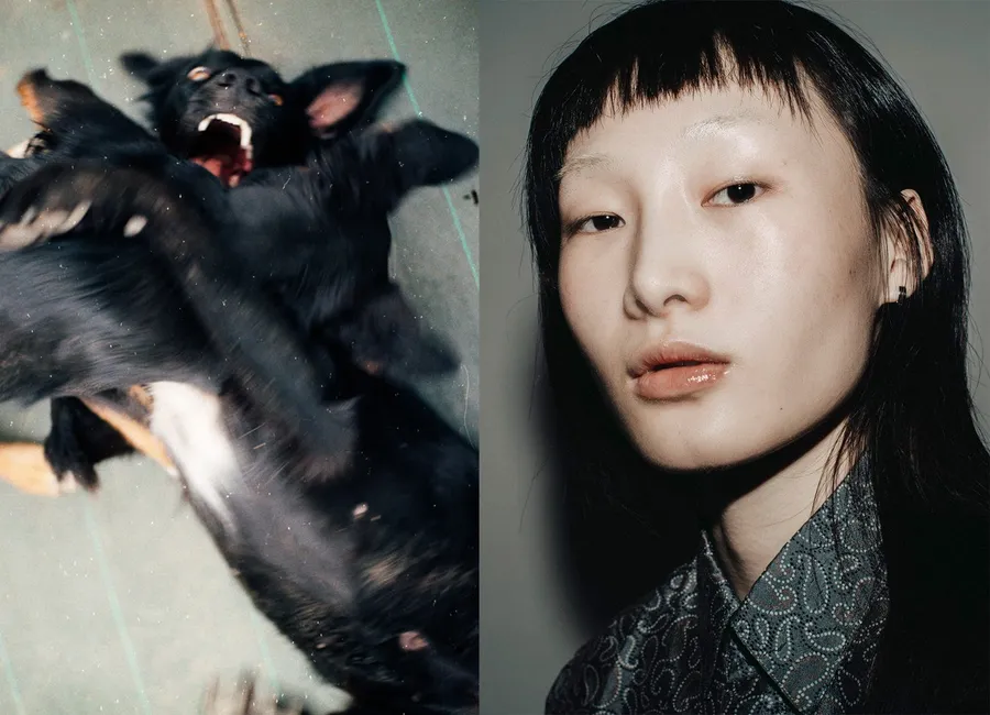 Diptyque : chien noir roulé sur le dos gueule ouverte, et portrait d'une femme à frange droite