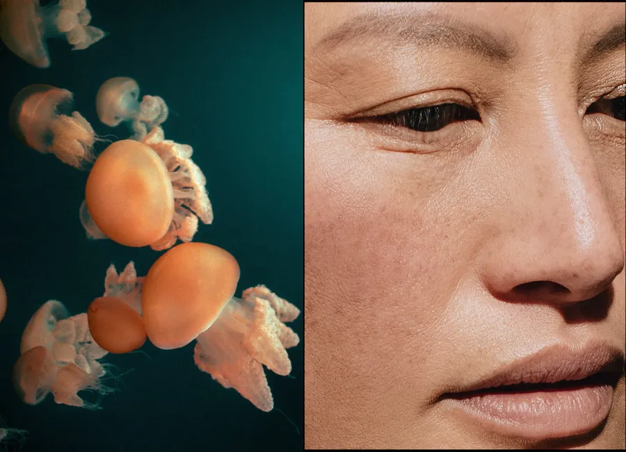 Diptyque : méduses orangées en eau sombre, et gros plan sur l'œil et la joue d'une femme